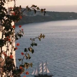 Meet your Posher, Ariana